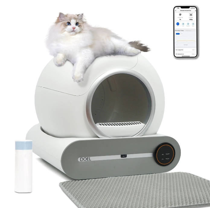 Litter Box