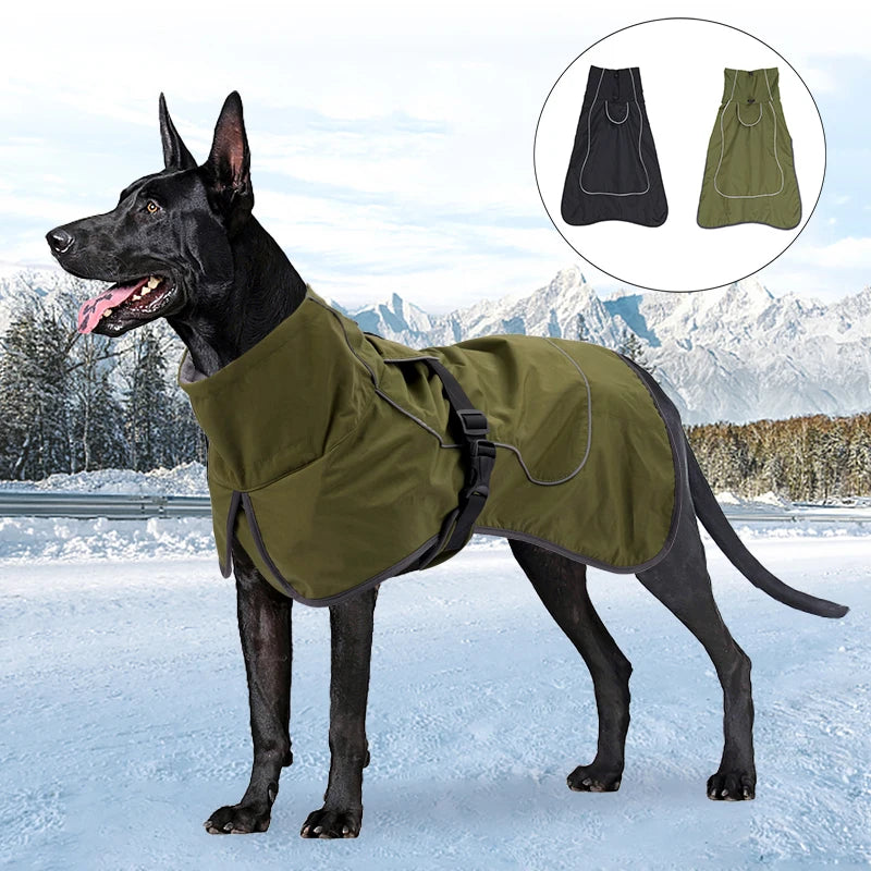 Warm winter jacket for large dogs