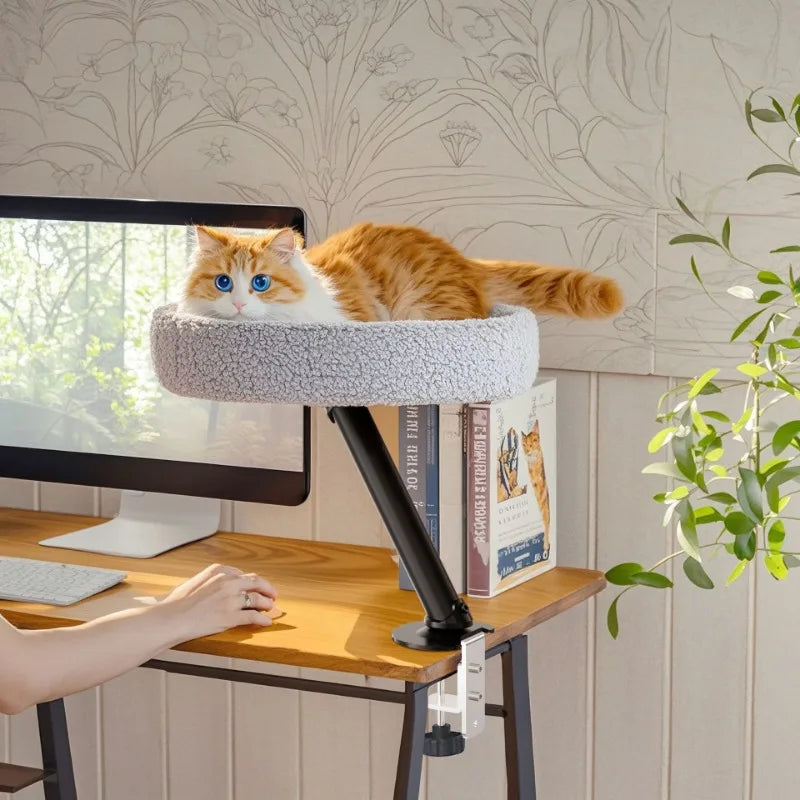Comfortable and soft round office cat bed