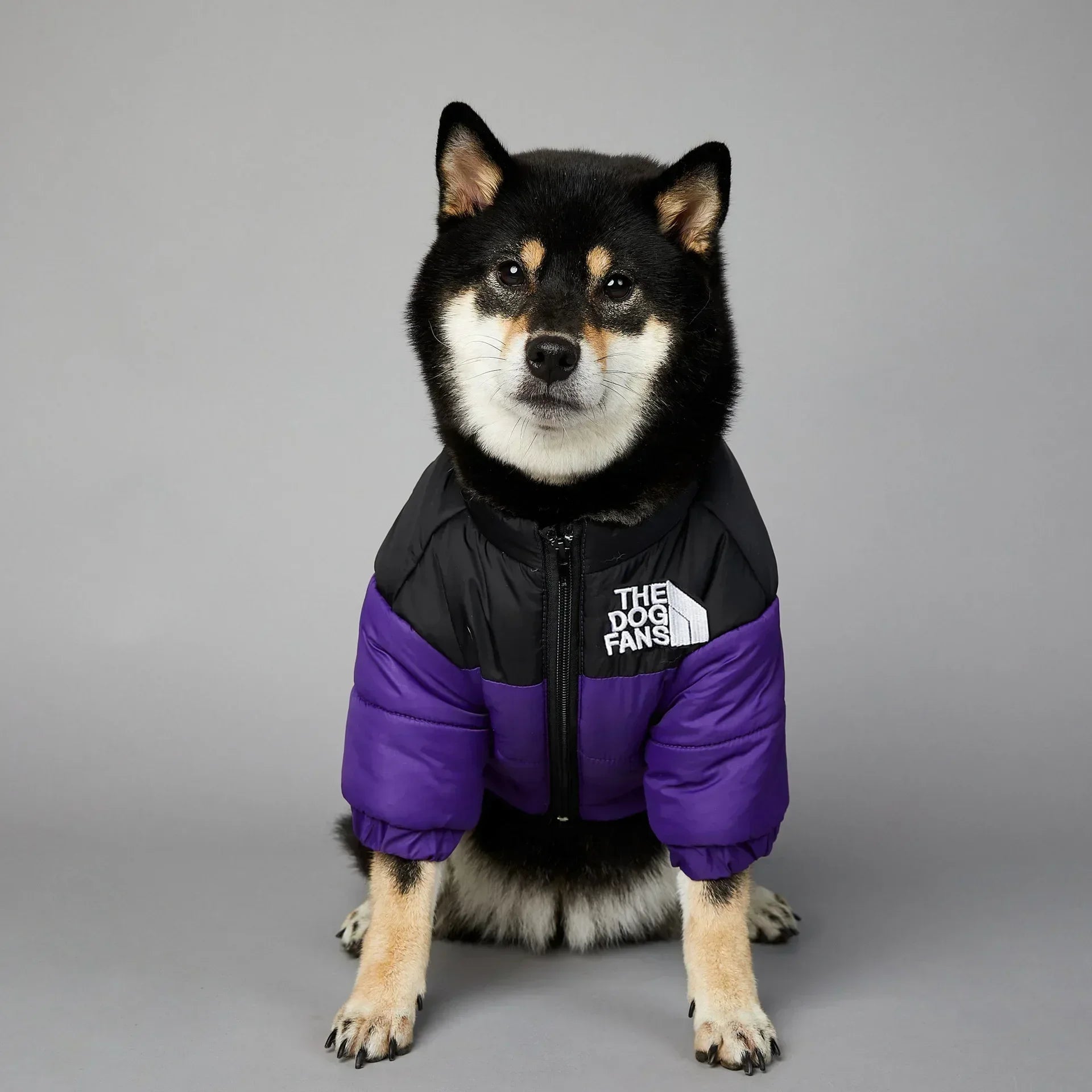 Warm and Thick Dog Jacket, French Bulldog