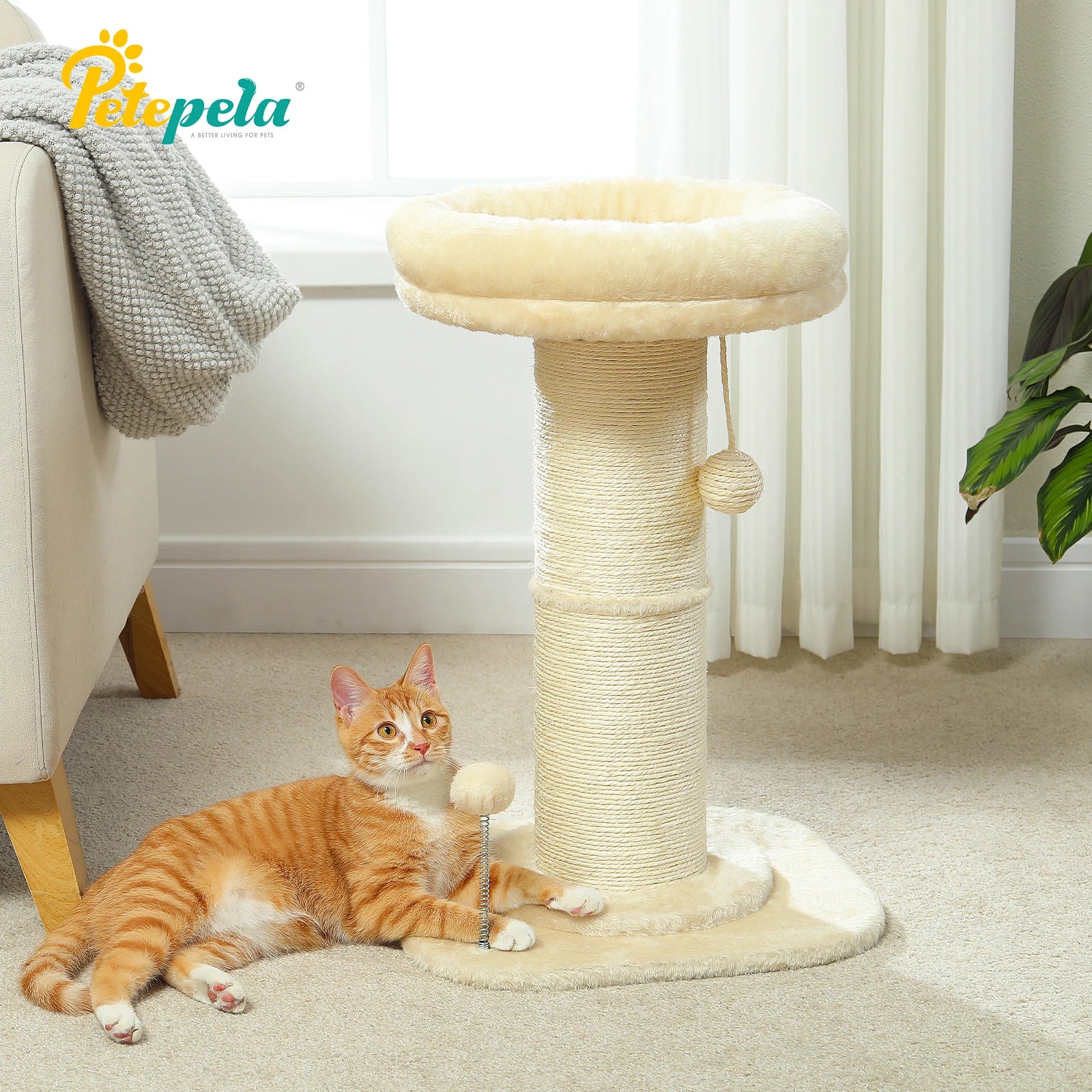 Small Flower Tree Cat Scratching Post
