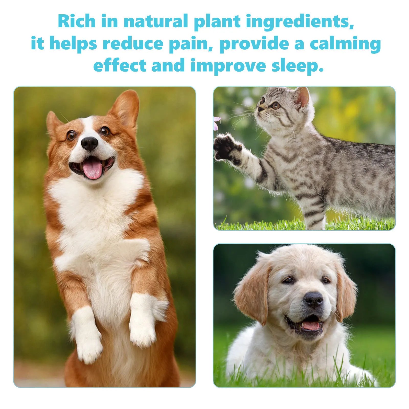 Glucosamine Drops for Pets (50ml) - For the relief of joint pain and discomfort in cats and dogs