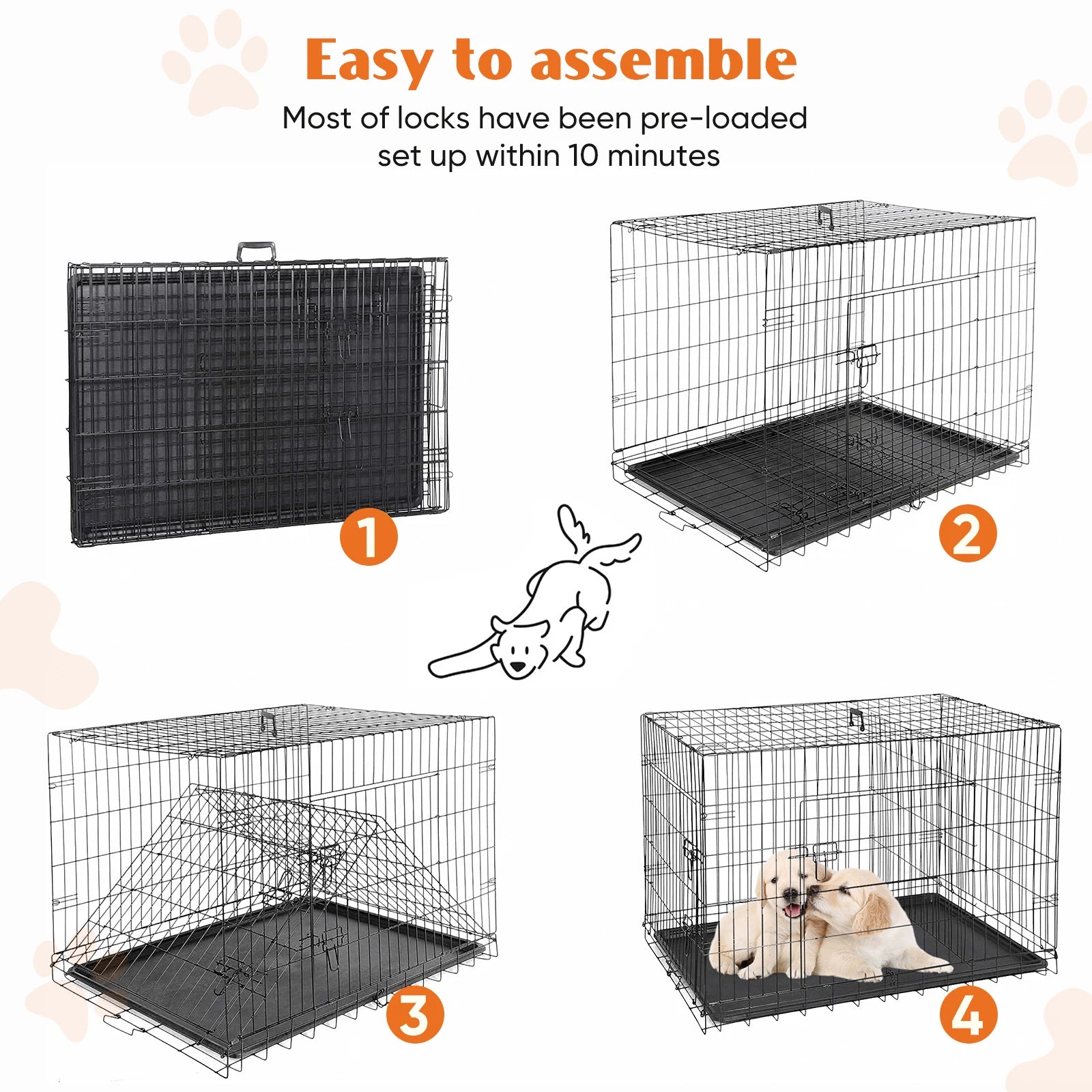 Collapsible wire dog cage