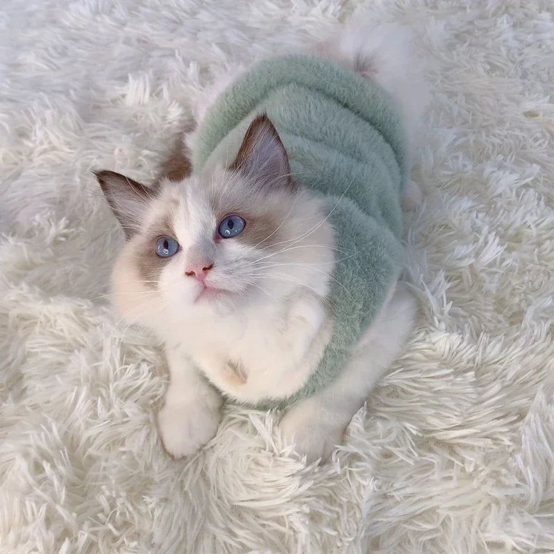 Warm kitten clothes