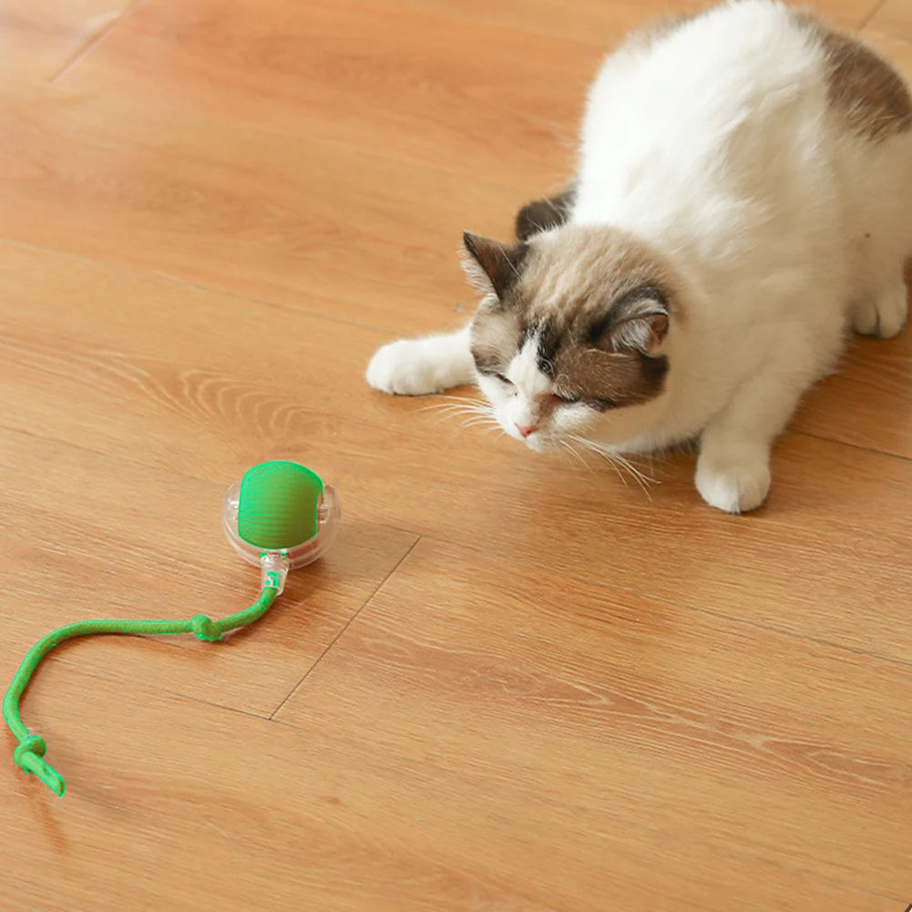 Cat Interactive Ball Toy Automatic Rolling Ball
