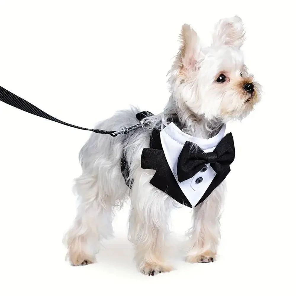 Dog Evening Dress, Formal Shirt