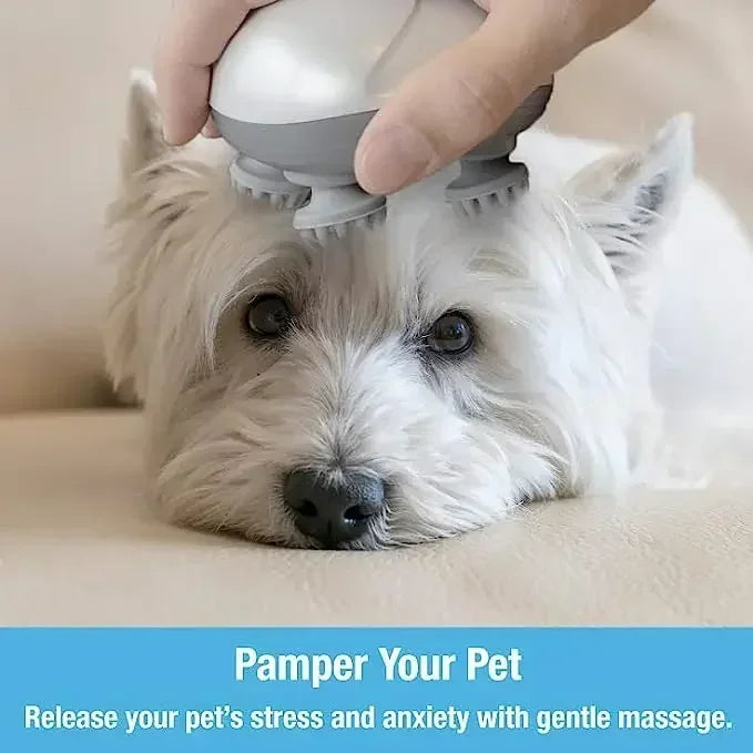 Electric scalp massager with 4 massage heads