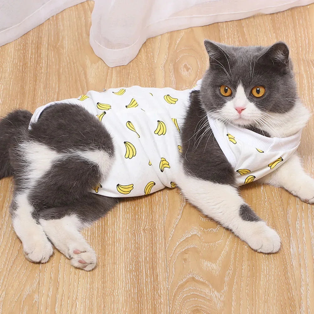 Pet Clothes, Cat Recovery Suit
