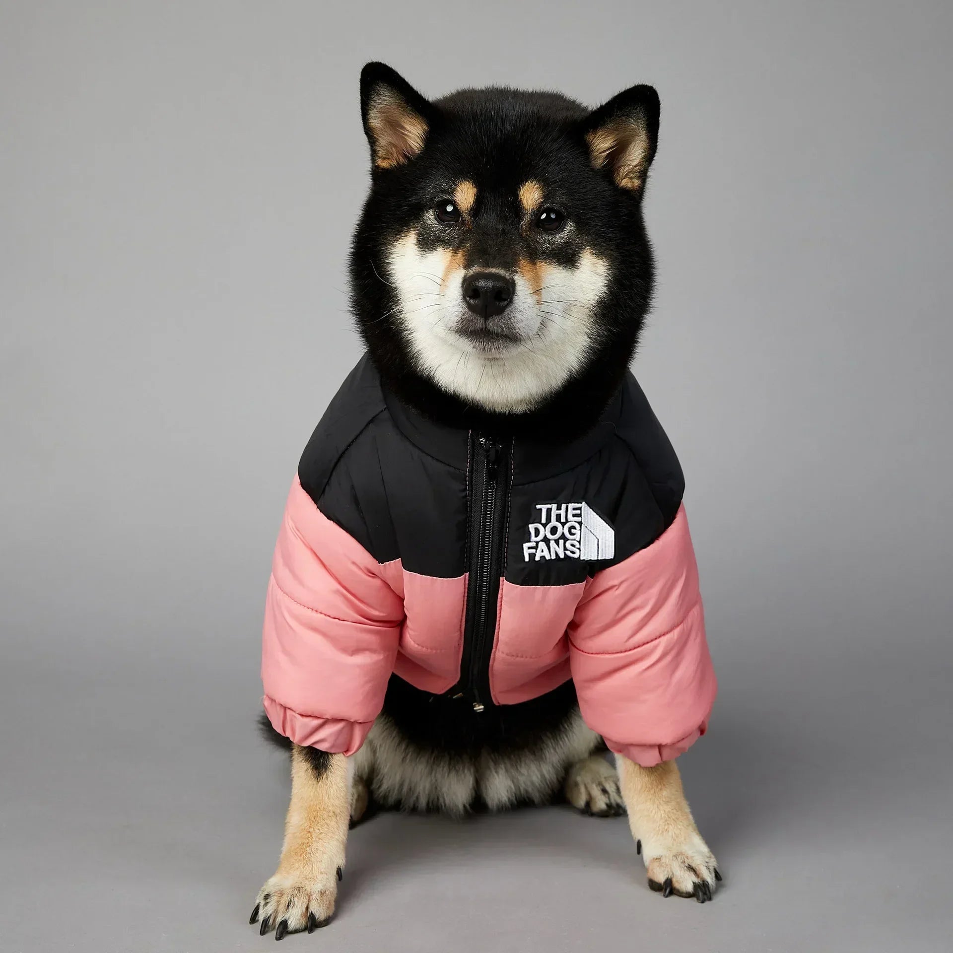 Warm and Thick Dog Jacket, French Bulldog