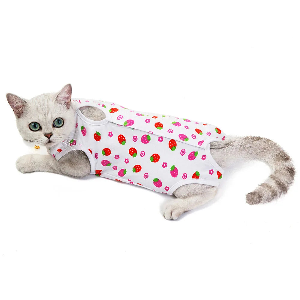 Pet Clothes, Cat Recovery Suit
