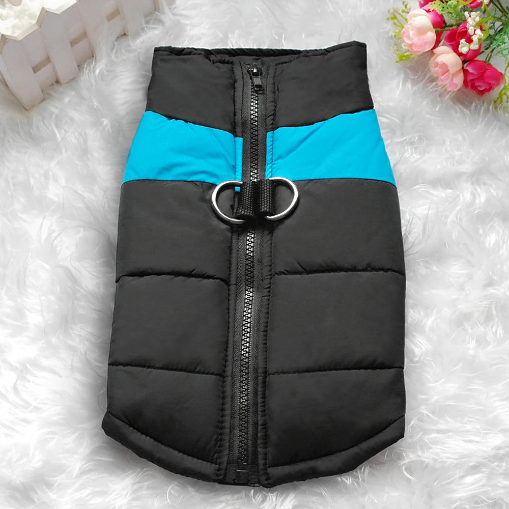 Winter clothes for pets