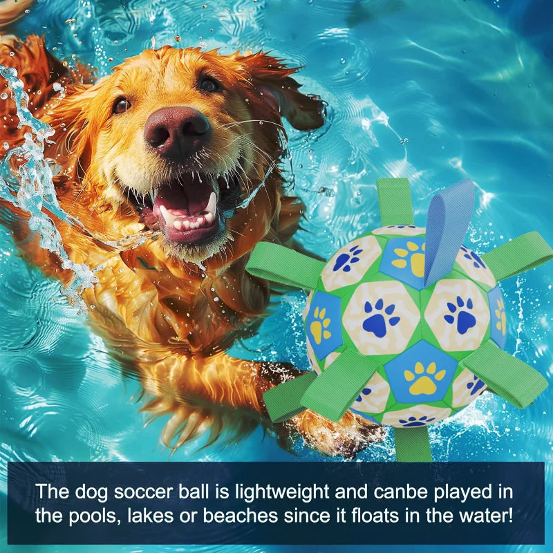 Dog training bite-resistant soccer toy