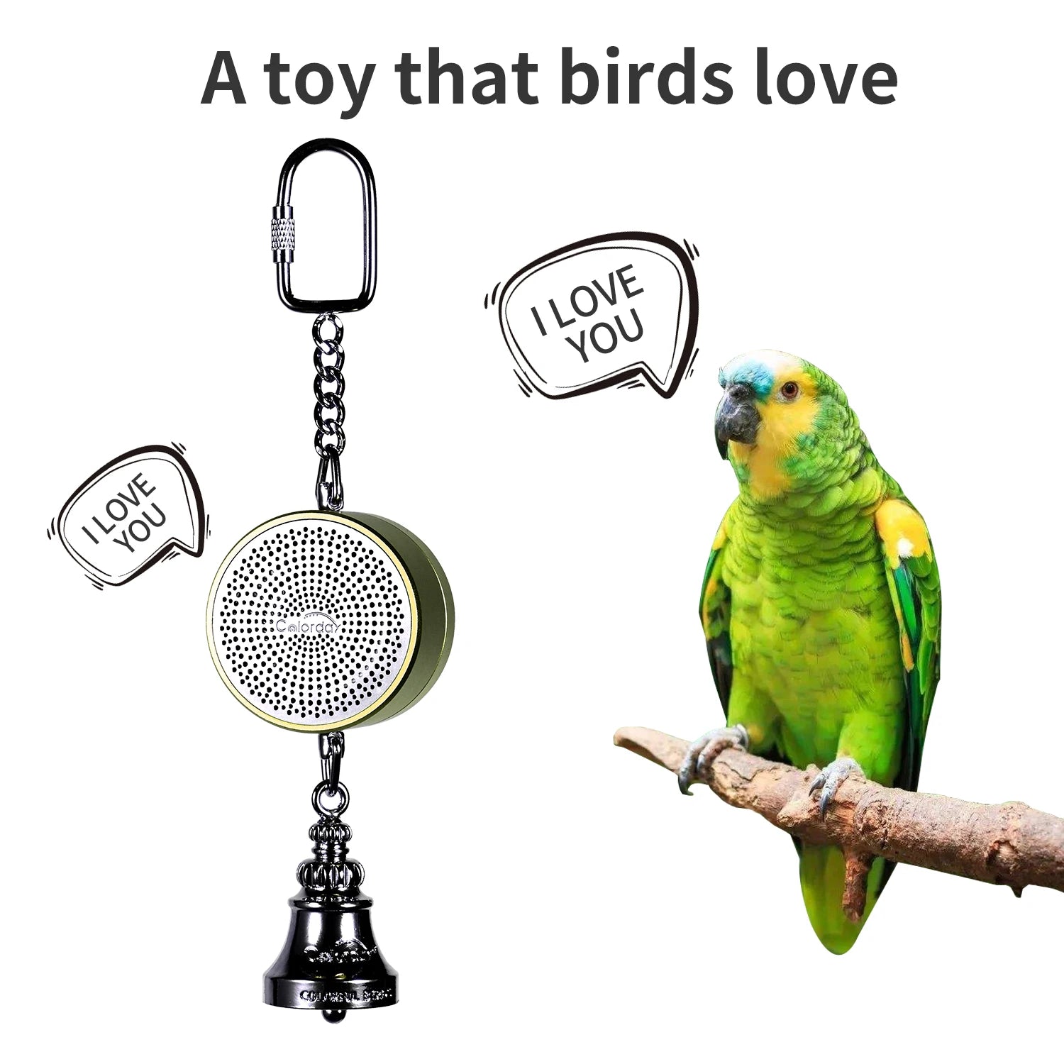 Parrot Toys to Teaching Training Bird Talking