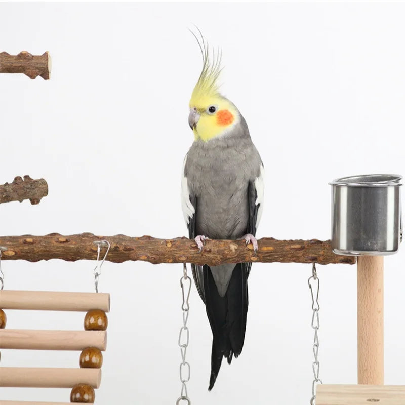Pepper wood parrot platform