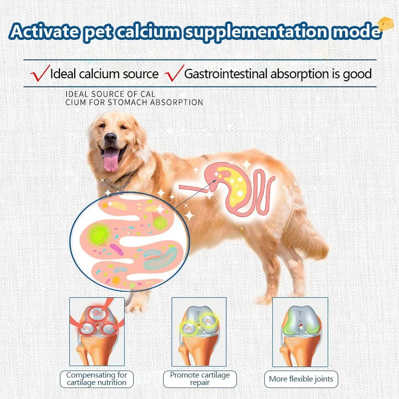 Dried pet food, cheese rich in calcium and nutrients
