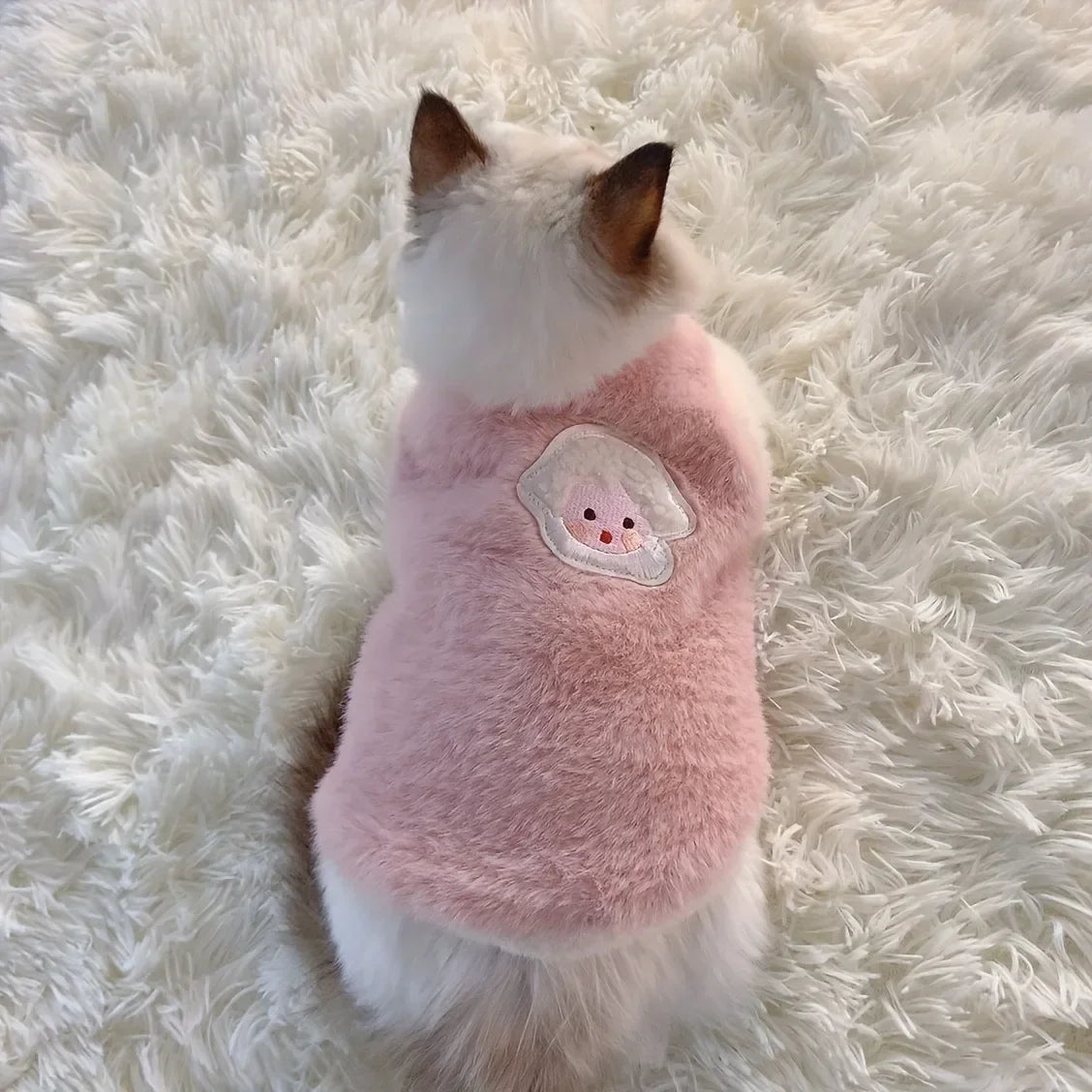 Warm kitten clothes