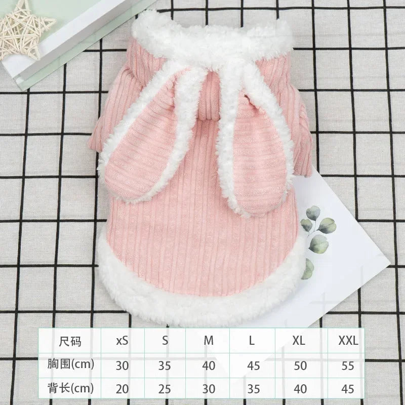 Warm Winter Clothes for Kittens, Rabbit Appearance
