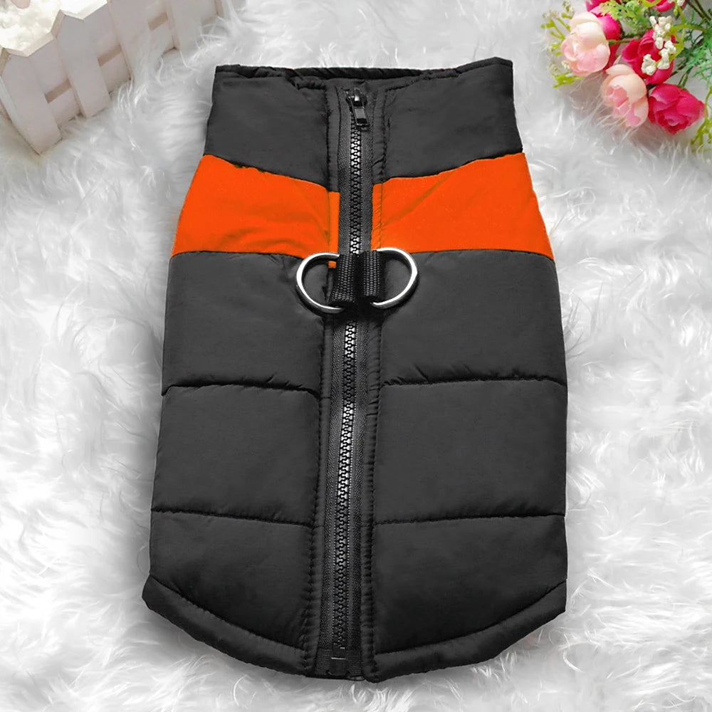 Winter clothes for pets