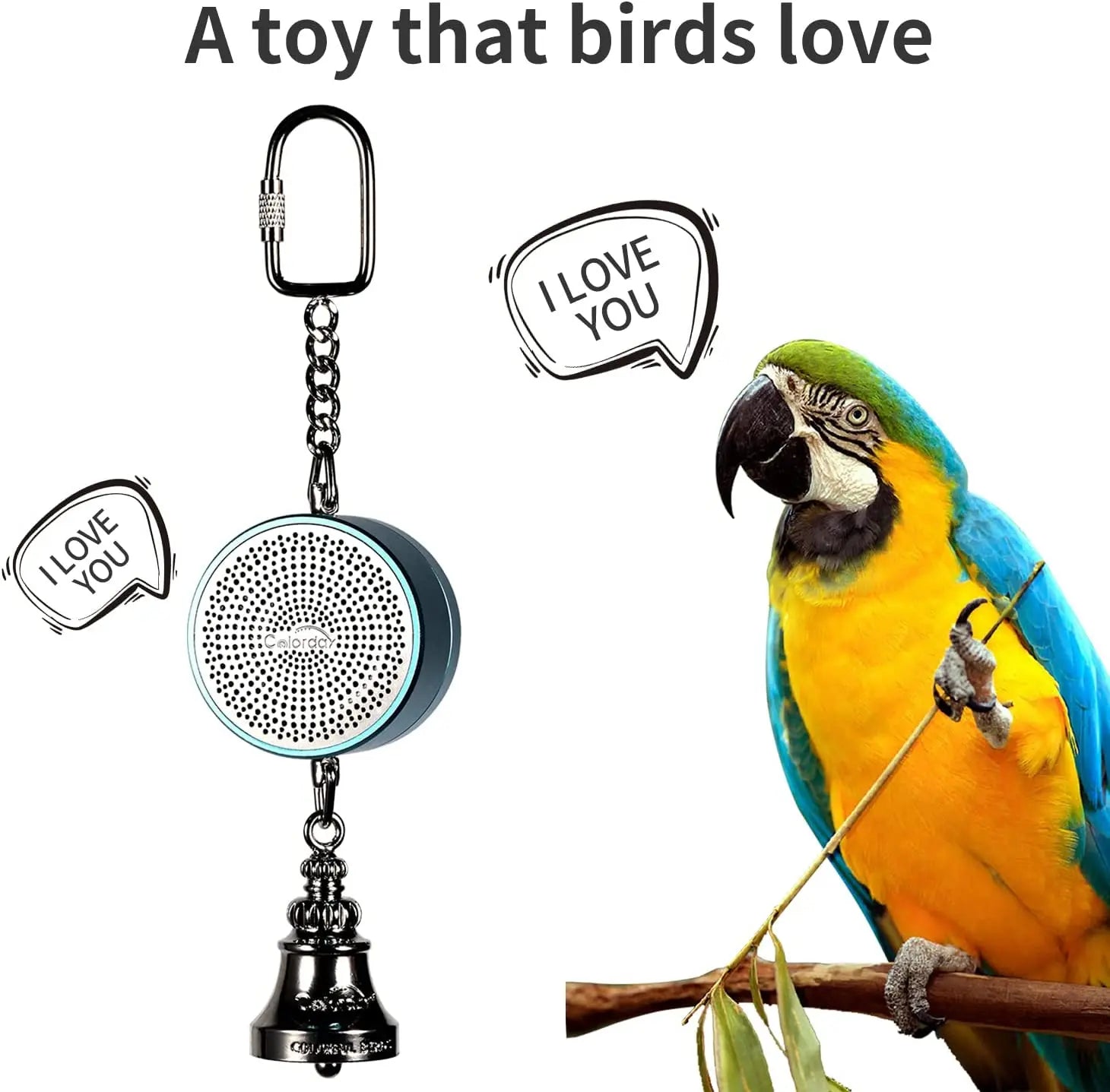 Parrot Toys to Teaching Training Bird Talking