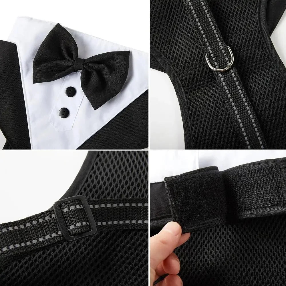 Dog Evening Dress, Formal Shirt