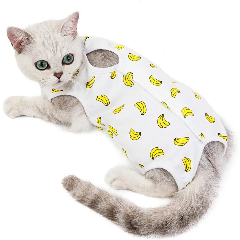 Pet Clothes, Cat Recovery Suit
