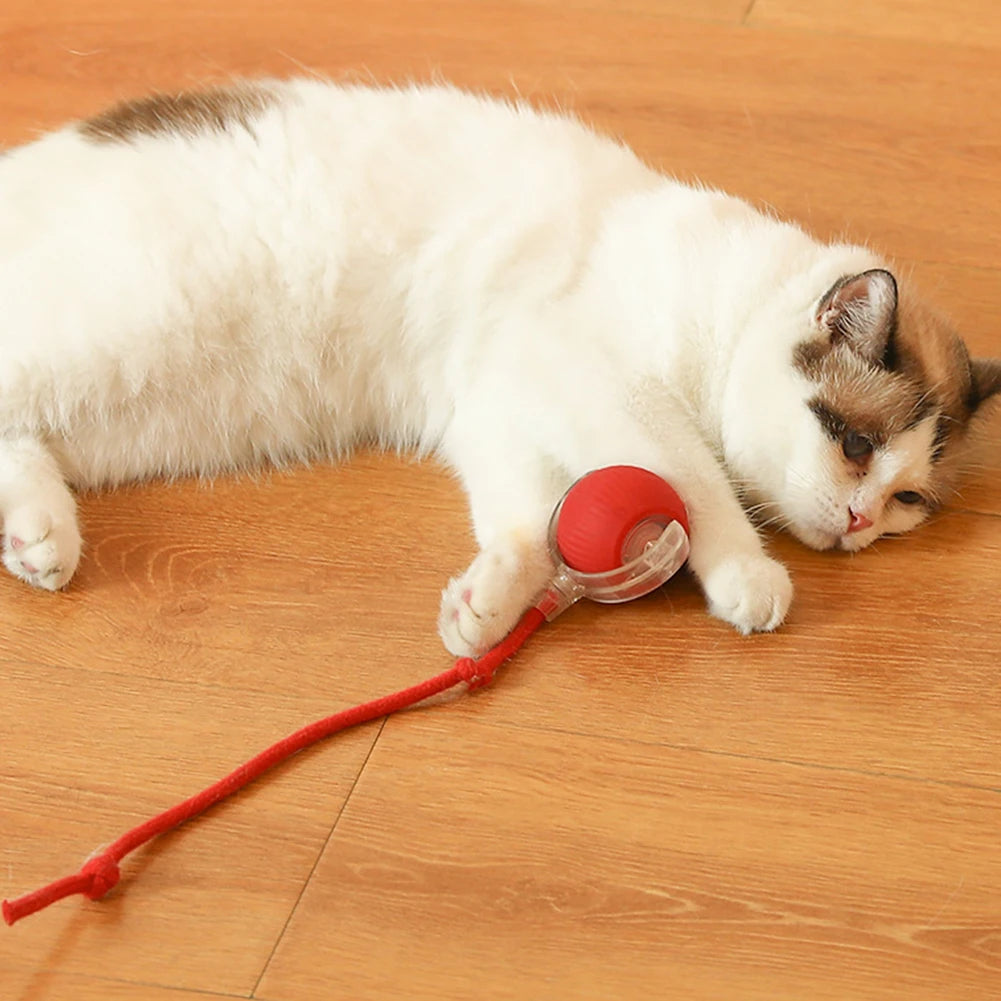 Cat Interactive Ball Toy Automatic Rolling Ball