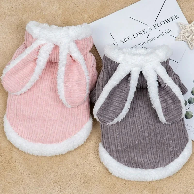 Warm Winter Clothes for Kittens, Rabbit Appearance