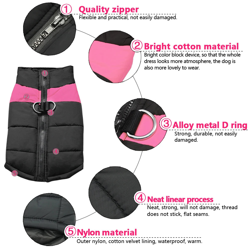Winter clothes for pets