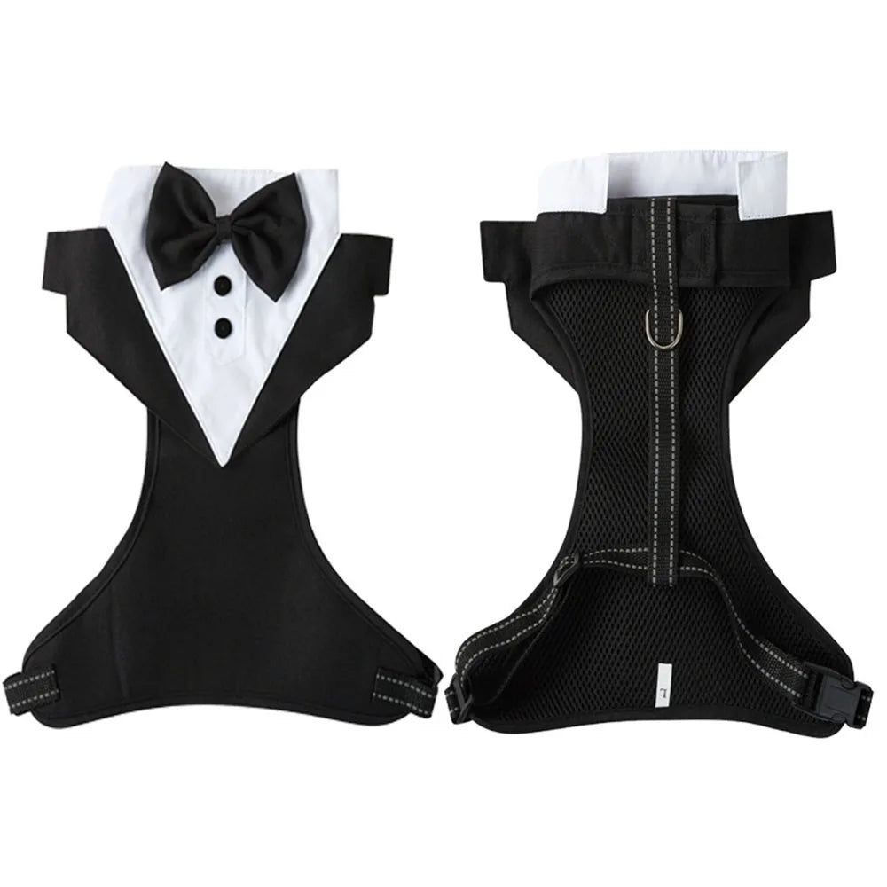 Dog Evening Dress, Formal Shirt