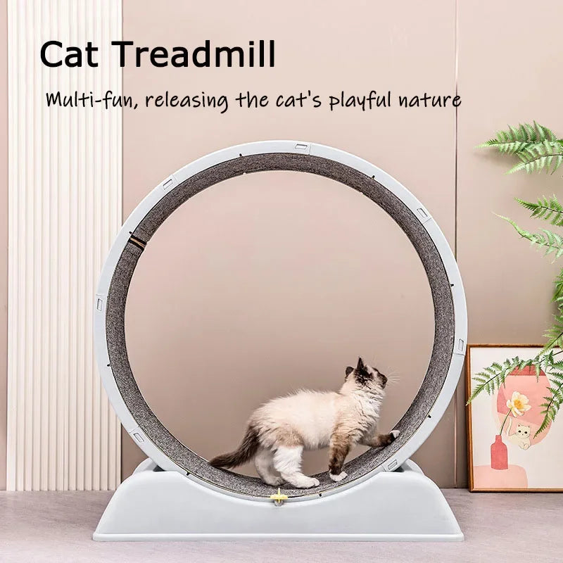 Silent cat running wheel