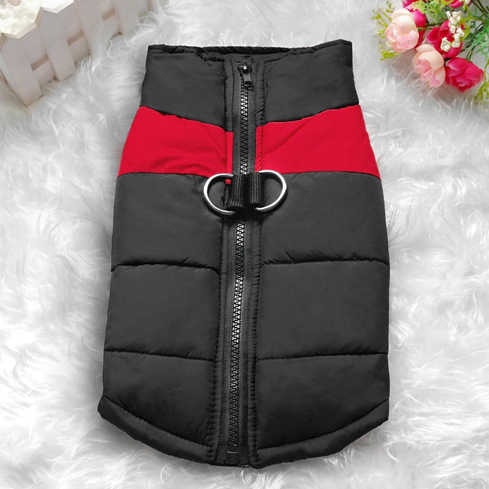Winter clothes for pets