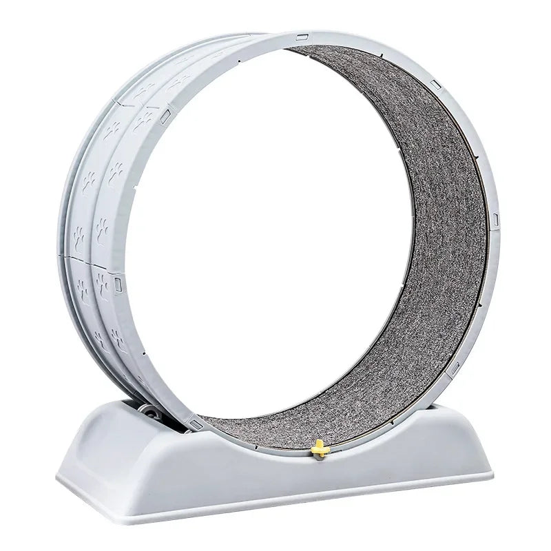 Silent cat running wheel