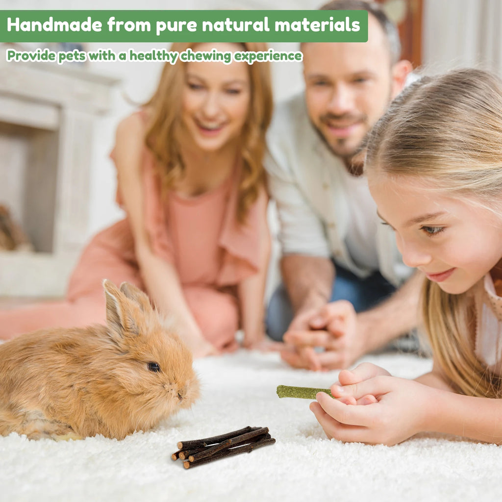 Interactive Bunny Chew Toy Bite Resistant Rabbit Enrichment Toy