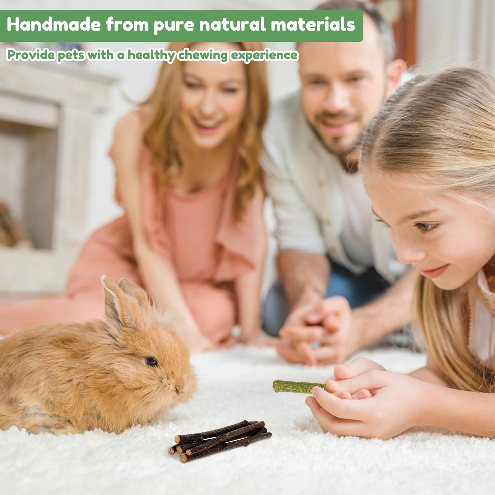 Interactive Bunny Chew Toy Bite Resistant Rabbit Enrichment Toy
