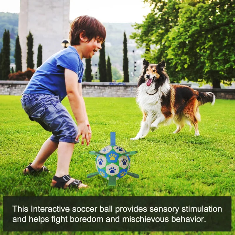 Dog training bite-resistant soccer toy