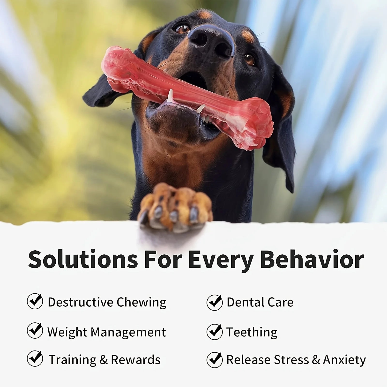 Durable dog chew toys