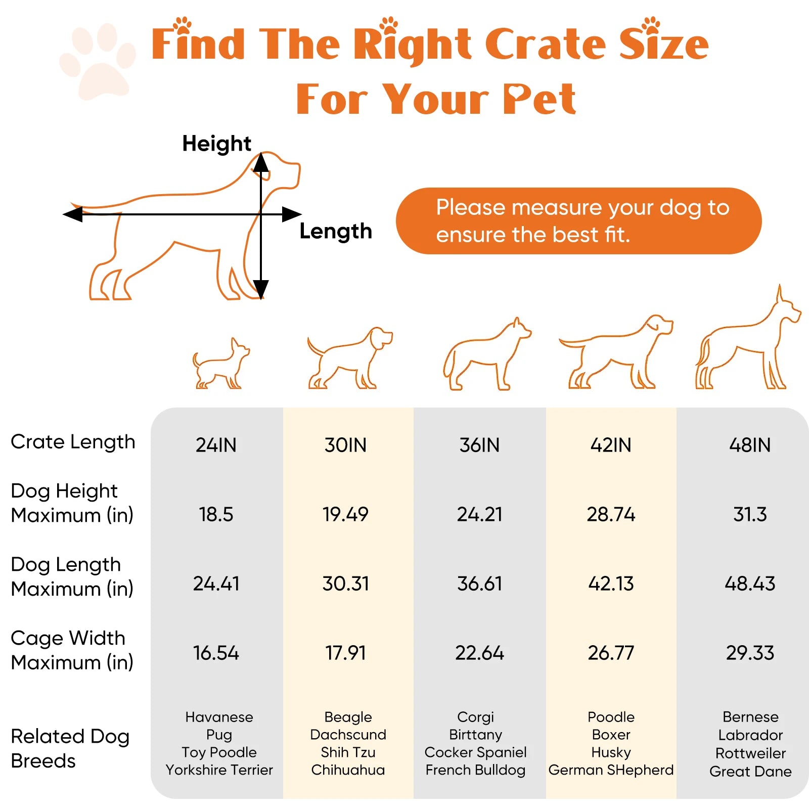 Collapsible wire dog cage