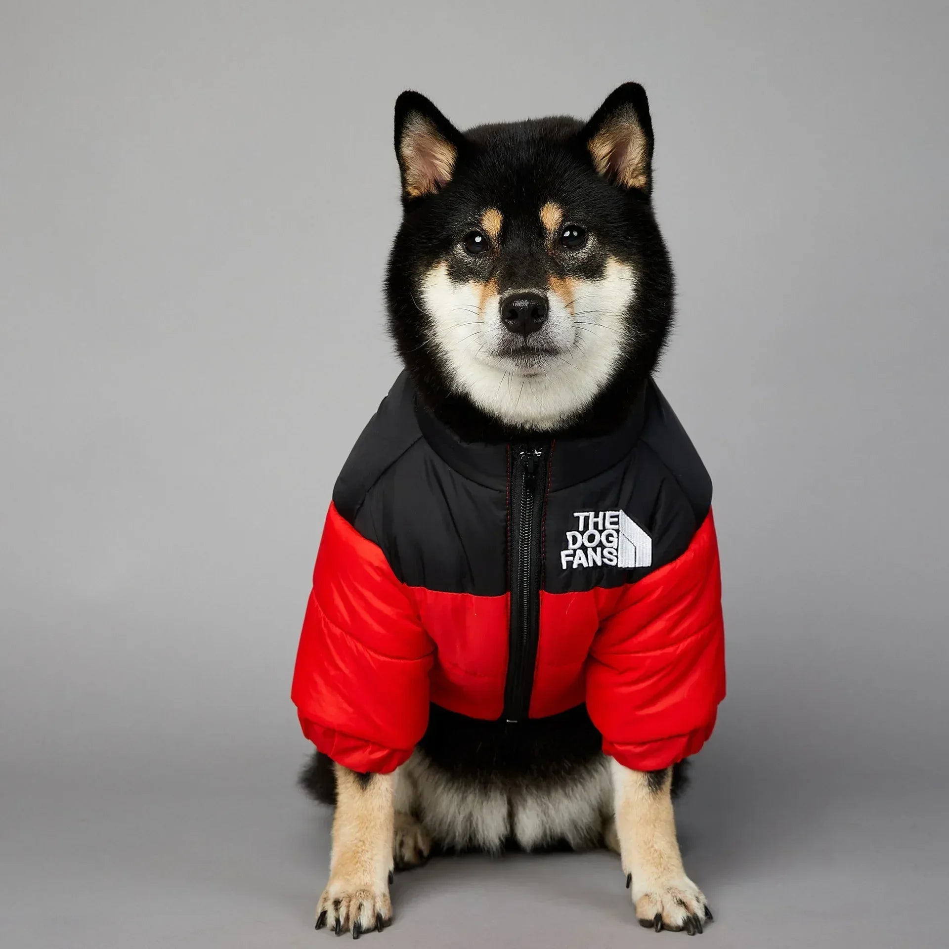 Warm and Thick Dog Jacket, French Bulldog