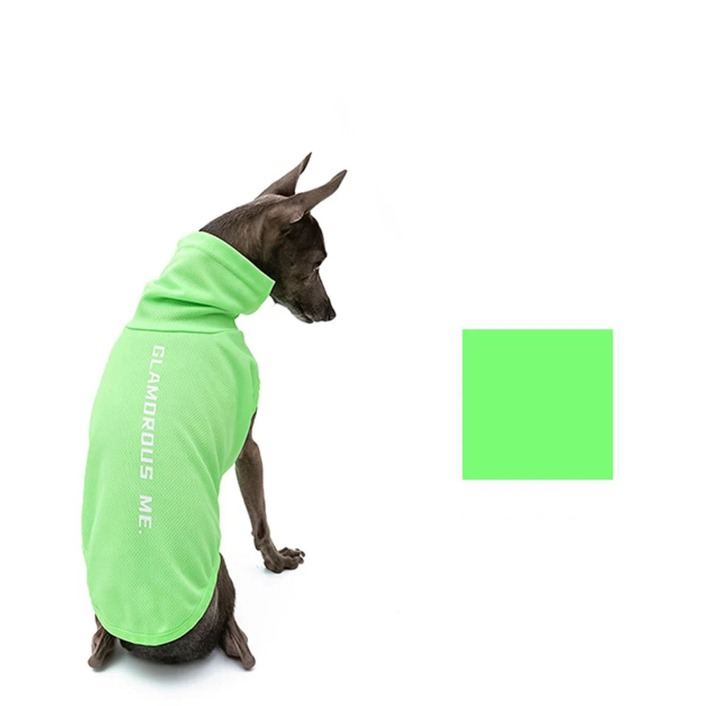 Italian Greyhound Summer Clothes