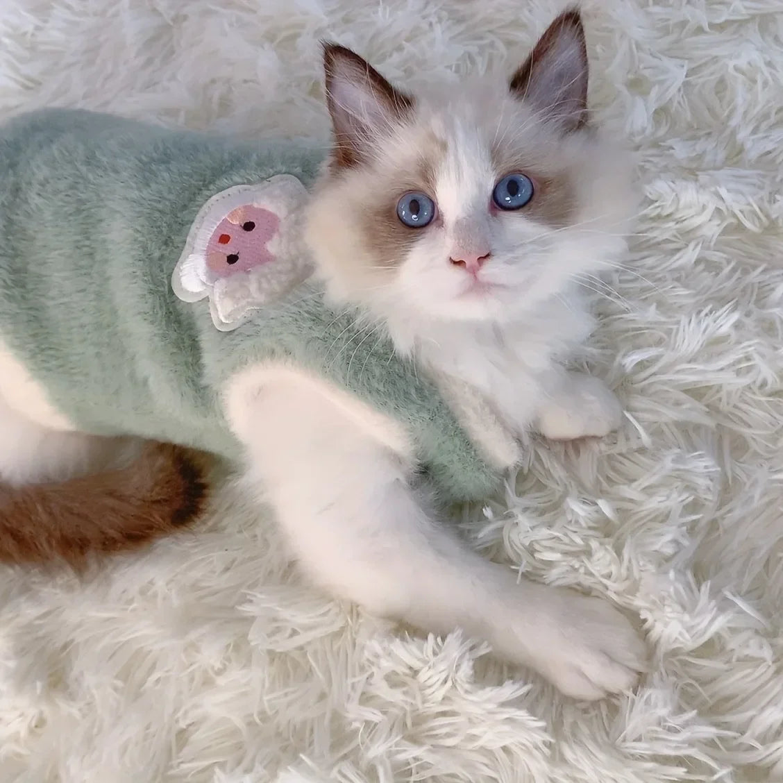 Warm kitten clothes