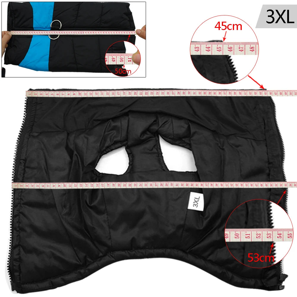 Winter clothes for pets