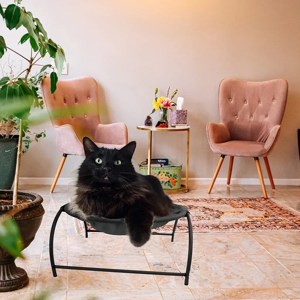 Removable cat hammock