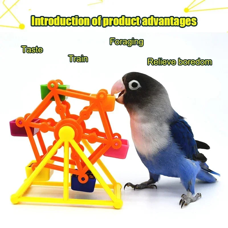Bird Foraging Toys Creative Parrot