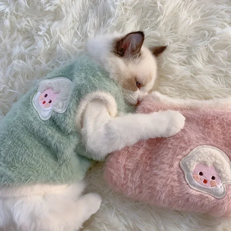 Warm kitten clothes