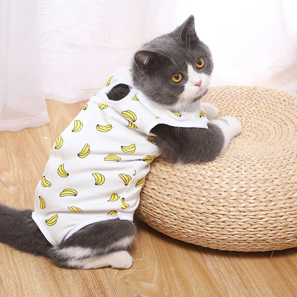 Pet Clothes, Cat Recovery Suit