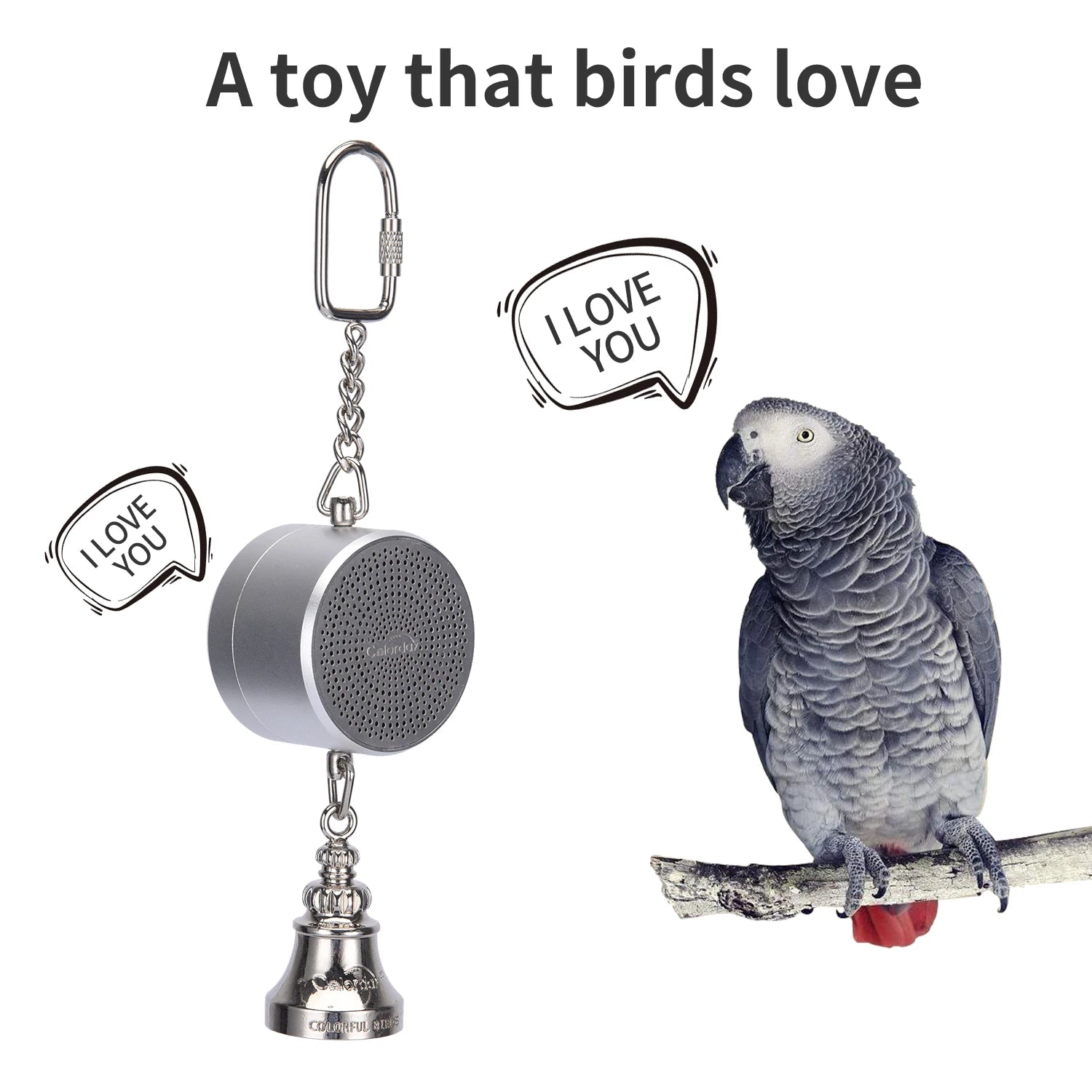 Parrot Toys to Teaching Training Bird Talking