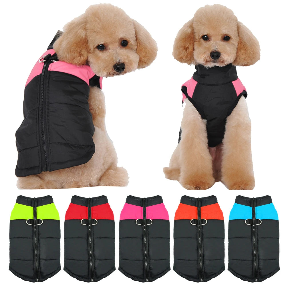 Winter clothes for pets