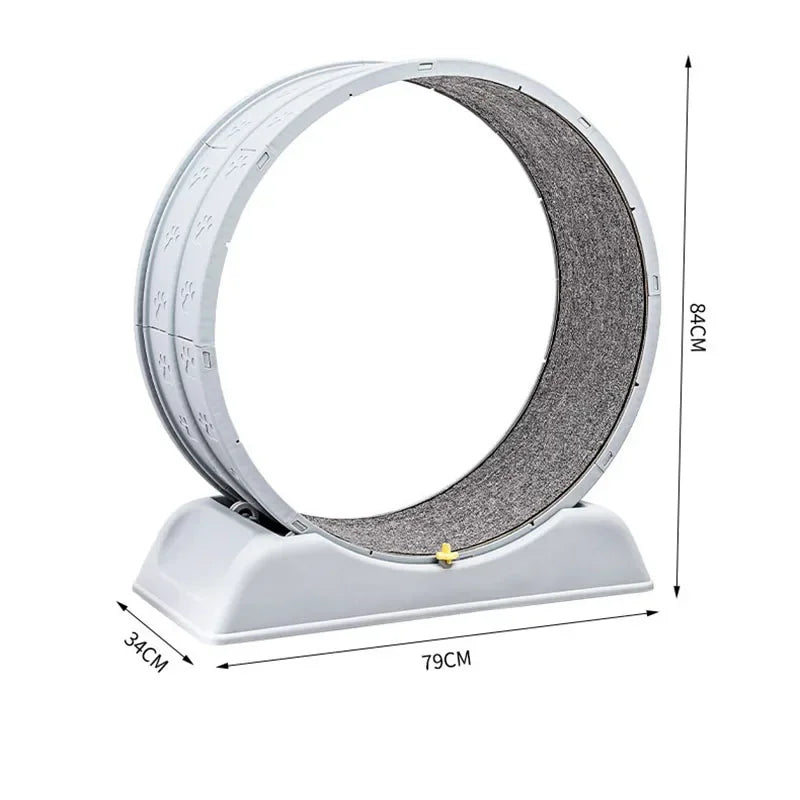 Silent cat running wheel