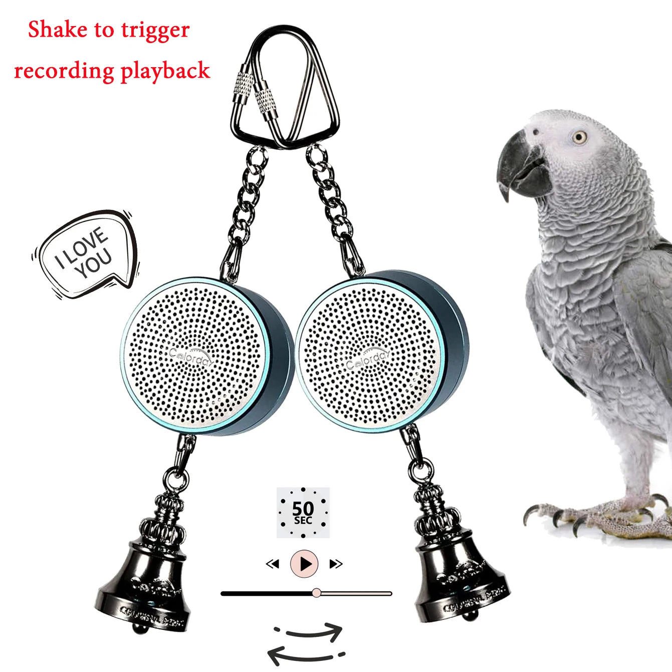 Parrot Toys to Teaching Training Bird Talking