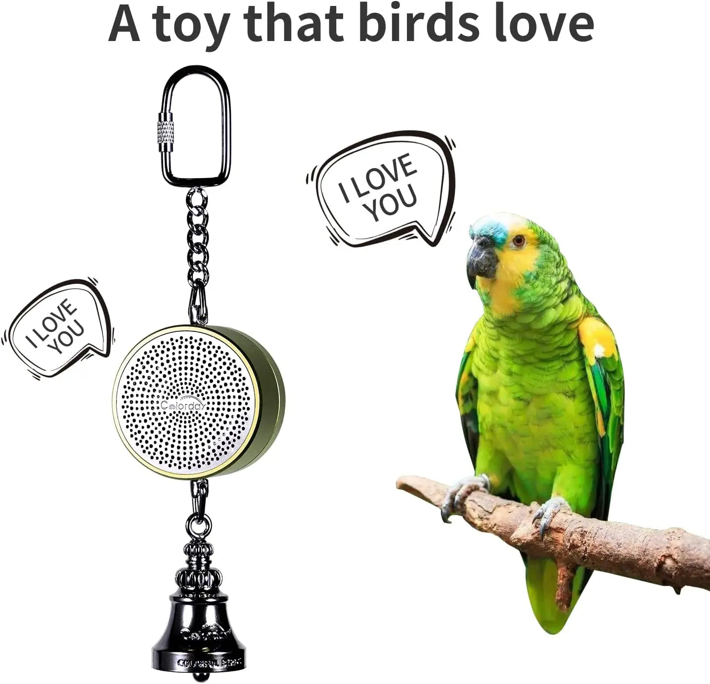 Parrot Toys to Teaching Training Bird Talking